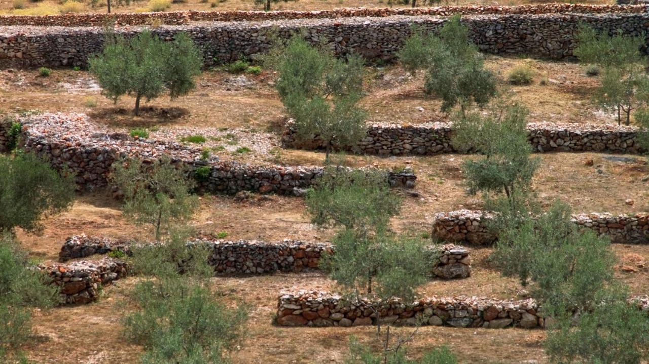 Villa Nai 3.3 Žman Dış mekan fotoğraf